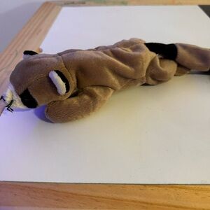 Ty Beanie Baby - RINGO the Raccoon Plush Stuffed Animal Toy